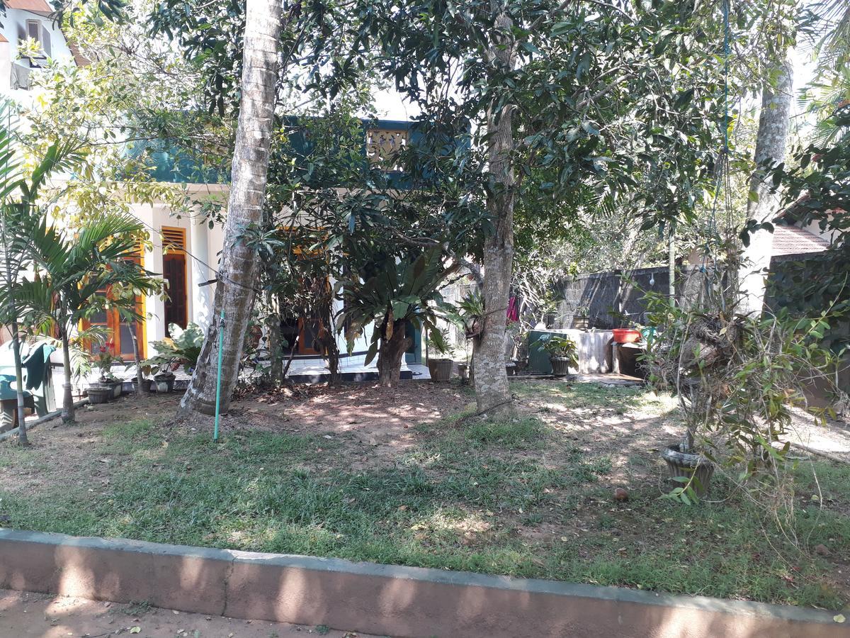 Guesthouse Sunshine Алутгама Экстерьер фото